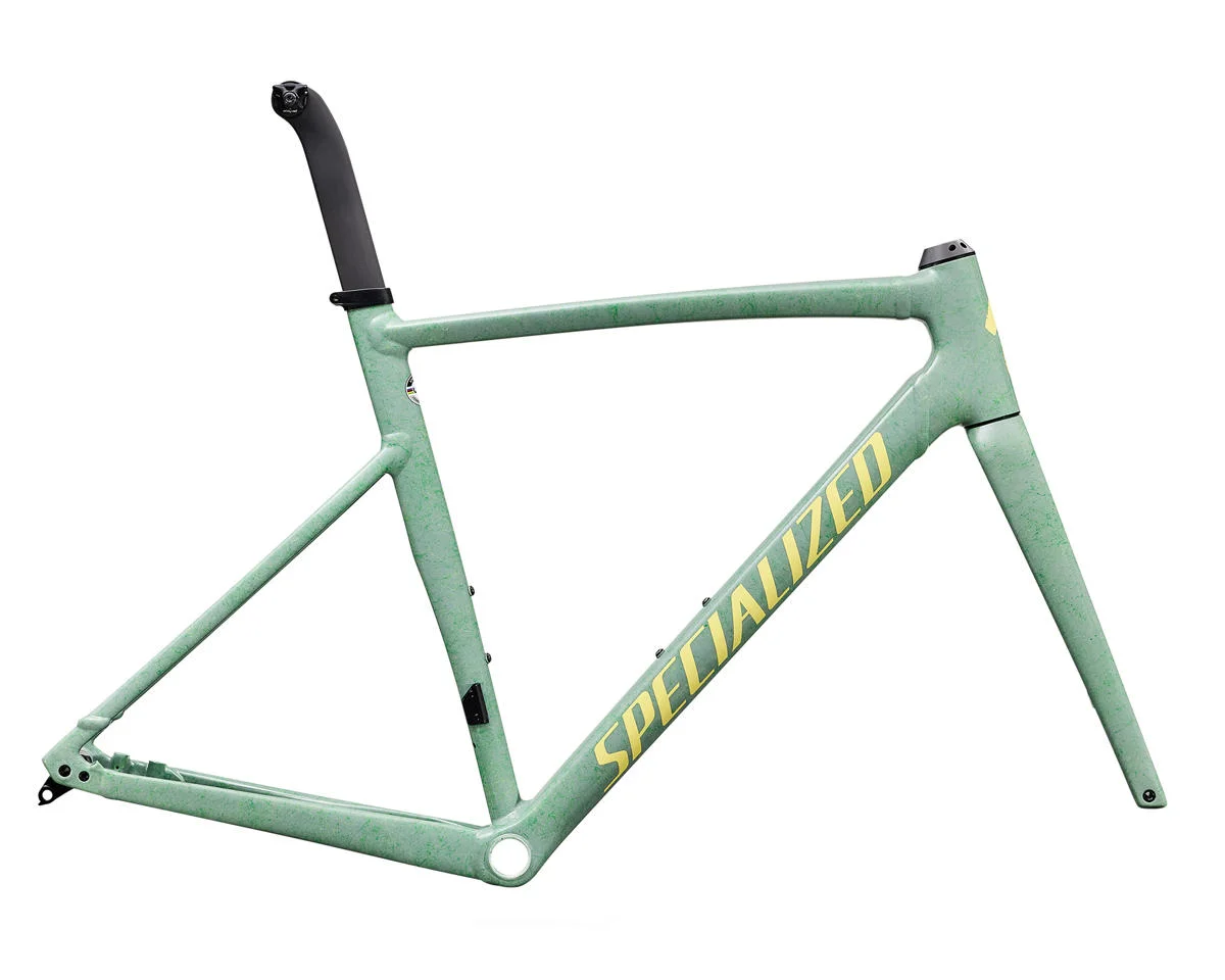 Specialized Allez Sprint Frameset (Agave Grey/Kelly Green/Sunset Yellow) (58cm)